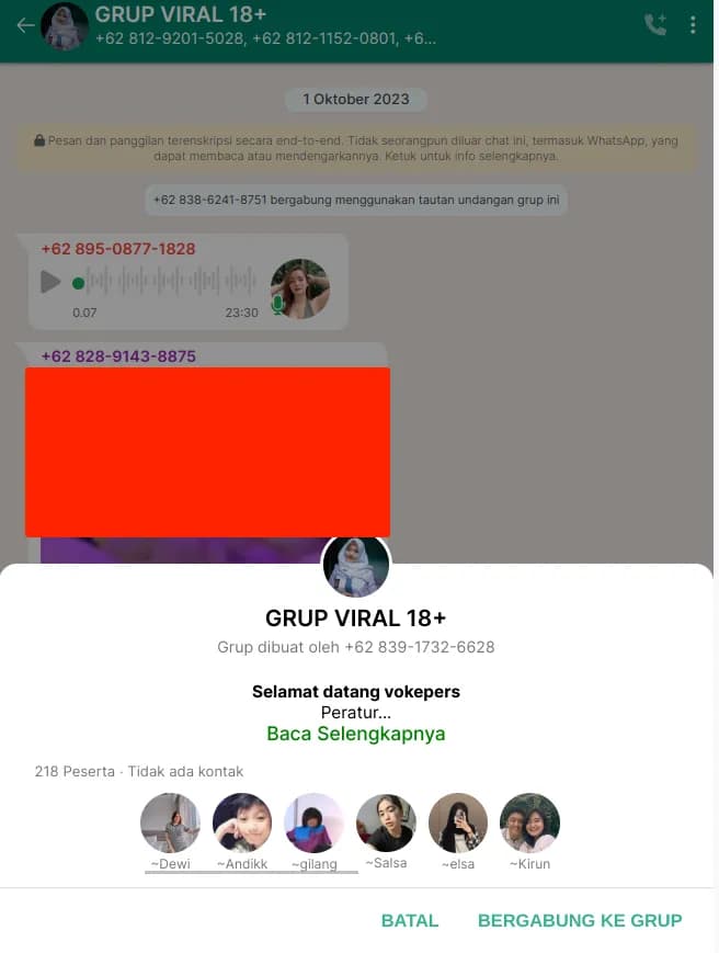 Behind the Screens: Unmasking a New Phishing Scam in Indonesia